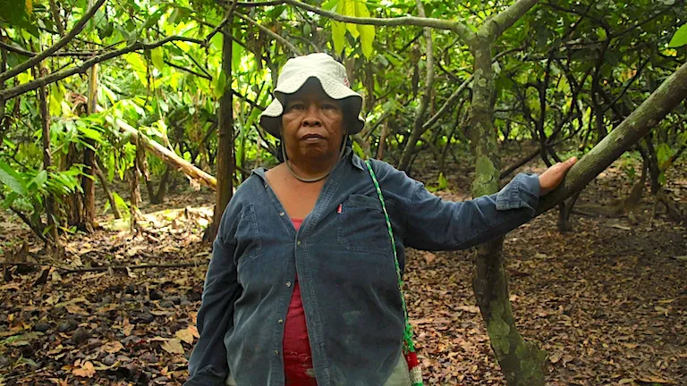 Agroforestry and indigenous women